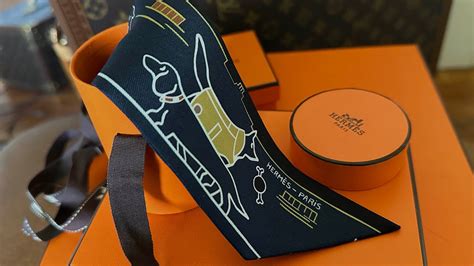 hermes twilly chaine chien|Hermes Unboxing: Les Chiens Parisiens Twilly .